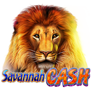 Savannah Cash : SkyWind Group