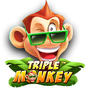 Triple Monkey : SkyWind Group