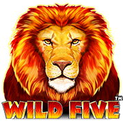 Wild Five : SkyWind Group